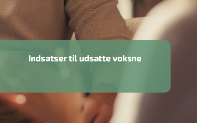 Indsatser til udsatte voksne