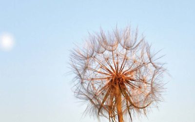 Et arbejdsliv uden stress